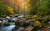 smokies.jpg