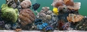Filename=Aquarium_FB.jpg
Filesize=146KiB
Dimensions=851x315
Date added=Sep 05, 2012 Aquarium_FB.jpg