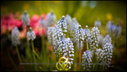 Filename=John14_6_floral_trinity_1a.jpg
Filesize=4803KiB
Dimensions=3839x2177
Date added=Mar 18, 2018 John14_6_floral_trinity_1a.jpg