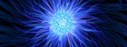 Filename=somethingblue_FB.jpg
Filesize=90KiB
Dimensions=851x315
Date added=Sep 05, 2012 somethingblue_FB.jpg