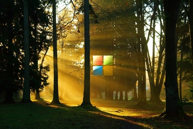 HD Microsoft new 2012 logo sun trees wallpaper High def wallpaper of Microsoft's new 2012 logo in the woods.