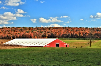 HD barn fall foliage wallpaper High def wallpaper of a barn with some colorful fall foliage.