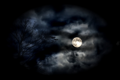 Halloween Wallpaper on Hd Tree Moon Bats Clouds Halloween Wallpaper