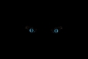 Filename=Dark_eyes.jpg
Filesize=222KiB
Dimensions=2500x1667
Date added=Aug 21, 2012 Dark_eyes.jpg