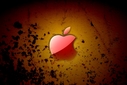 Filename=HD_Apple_Rusted_paint_yellow_red.jpg
Filesize=907KiB
Dimensions=2500x1667
Date added=Sep 12, 2012 HD_Apple_Rusted_paint_yellow_red.jpg