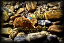Filename=HD_Microsoft_new_2012_logo_LOTOS2.jpg
Filesize=983KiB
Dimensions=2500x1667
Date added=Sep 14, 2012 HD_Microsoft_new_2012_logo_LOTOS2.jpg