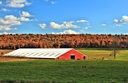Filename=HD_barn_fall_foliage_wallpaper.jpg
Filesize=1030KiB
Dimensions=2560x1661
Date added=Oct 21, 2012 HD_barn_fall_foliage_wallpaper.jpg