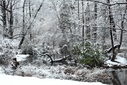 Filename=HD_desktop_wallpaper_snowy_branch_duck.jpg
Filesize=2039KiB
Dimensions=2560x1707
Date added=Dec 14, 2013 HD_desktop_wallpaper_snowy_branch_duck.jpg