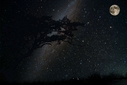 Filename=HD_milkyway_moon_tree_silhouette_wallpaper.jpg
Filesize=1146KiB
Dimensions=2560x1707
Date added=Oct 04, 2012 HD_milkyway_moon_tree_silhouette_wallpaper.jpg