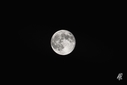 Filename=Super_Moon_HDR_2013a.jpg
Filesize=865KiB
Dimensions=2500x1667
Date added=Jun 23, 2013 Super_Moon_HDR_2013a.jpg